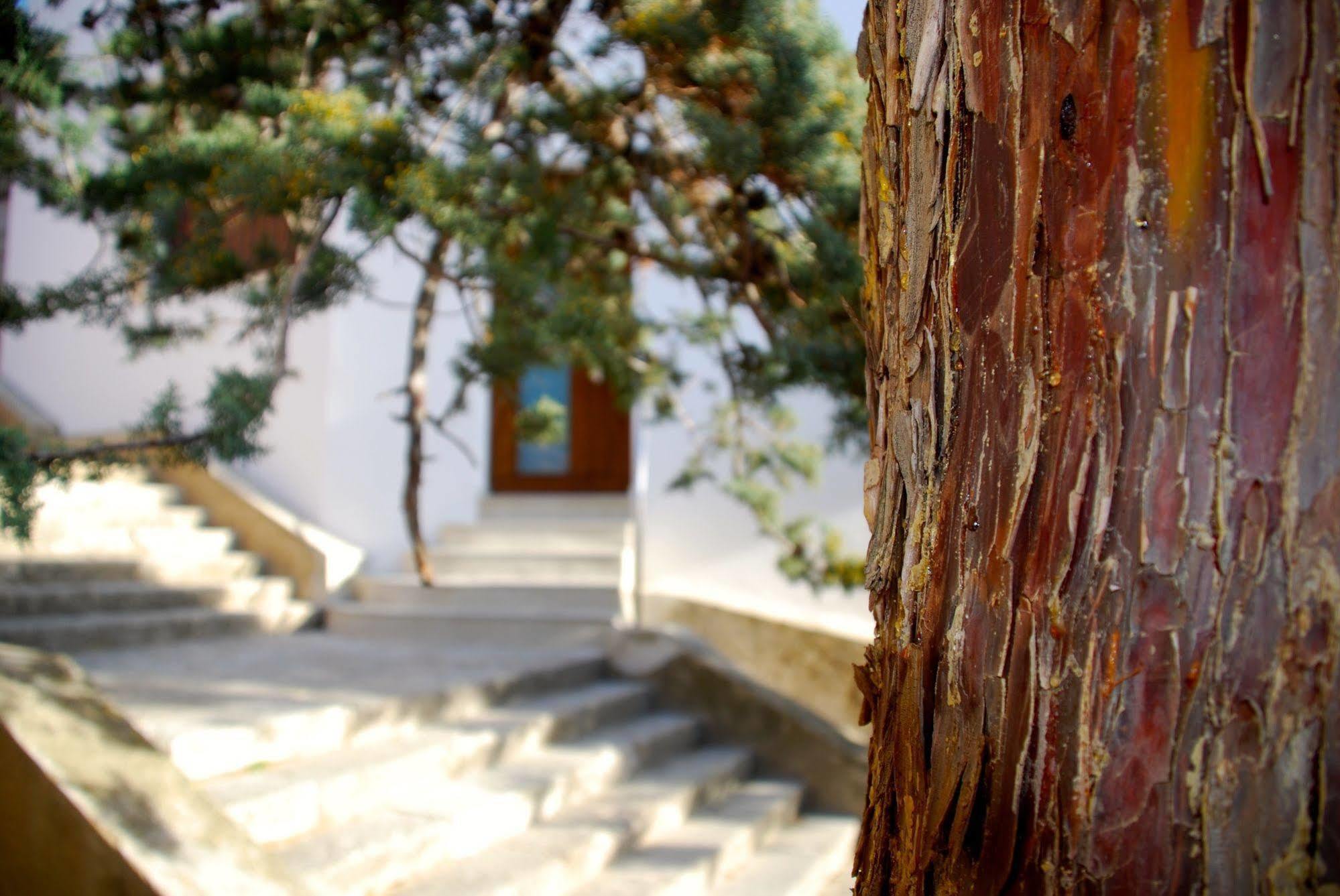 Apartamento Rural Castillo De Yeste 2 Pax (Adults Only) Экстерьер фото